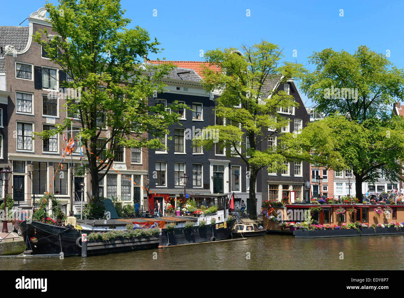 Houseboats decorato con fiori, Prinsengracht, Amsterdam, Olanda Settentrionale, Paesi Bassi, Europa Foto Stock