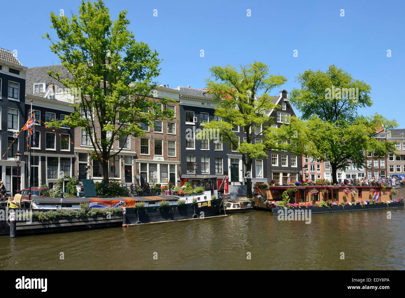 Houseboats decorato con fiori, Prinsengracht, Amsterdam, Olanda Settentrionale, Paesi Bassi, Europa Foto Stock