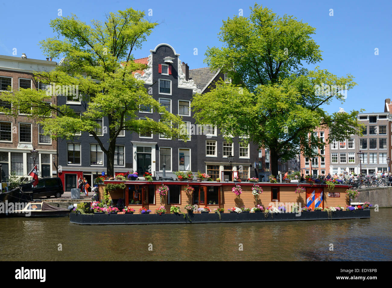 Houseboat decorato con fiori, Prinsengracht, Amsterdam, Olanda Settentrionale, Paesi Bassi, Europa Foto Stock