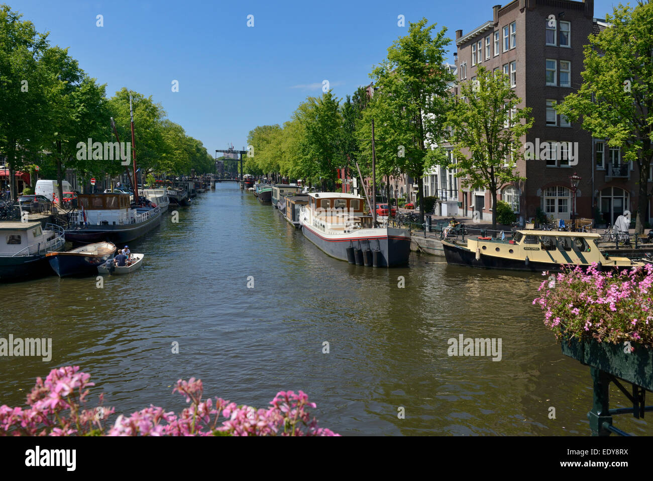 Brouwersgracht canal, Amsterdam, Olanda Settentrionale, Paesi Bassi, Europa Foto Stock