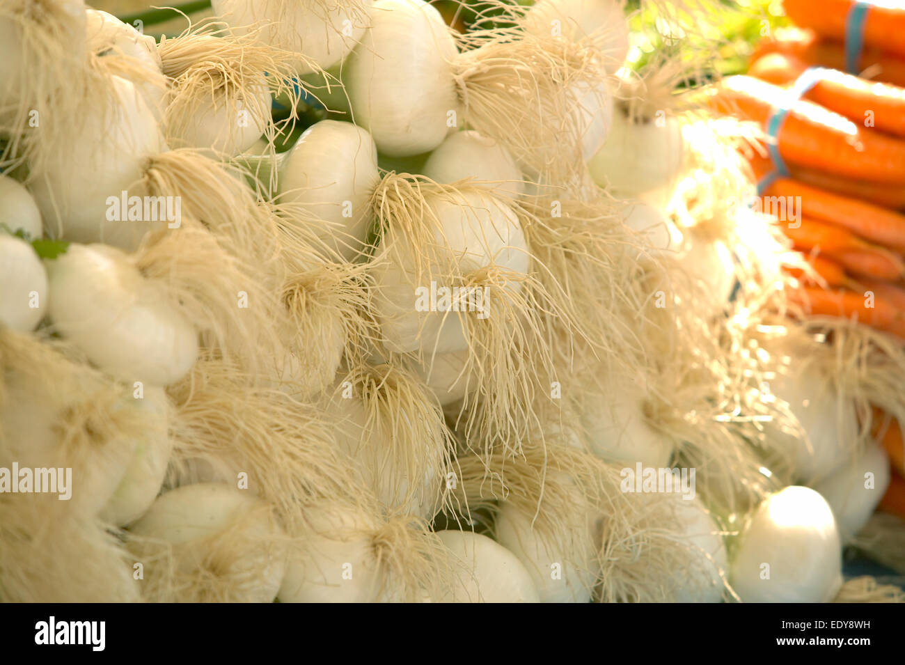 Le cipolle verdi al mercato agricolo Foto Stock