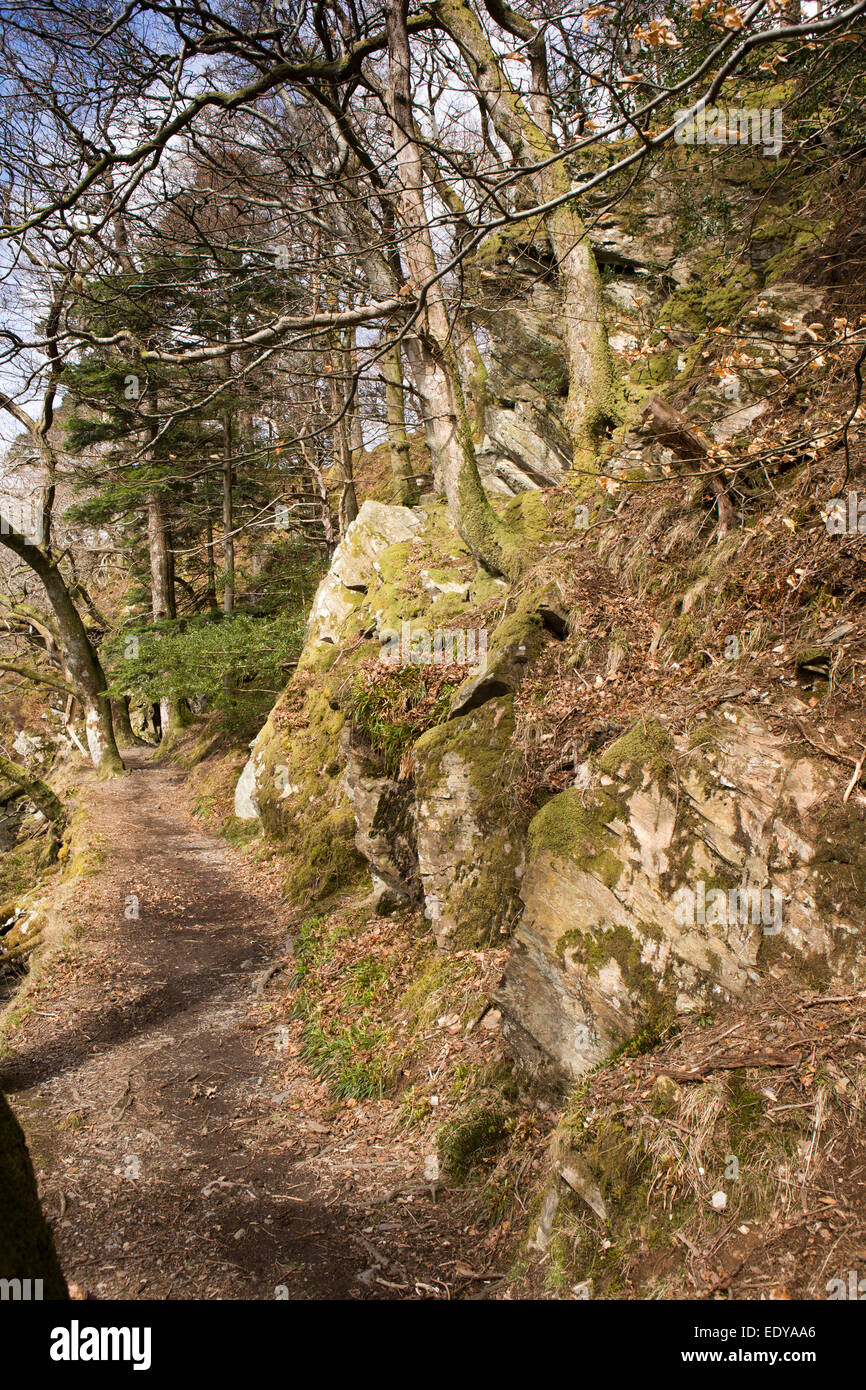 Regno Unito, Cumbria, Lake District, Buttermere, percorso attraverso la rupe di legno Foto Stock
