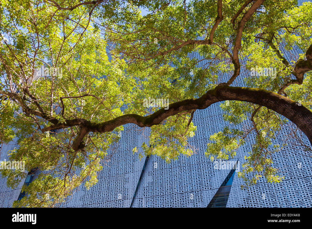 L'Università di Tecnologia, Facoltà di Ingegneria e tecnologia informatica, Sydney, Australia. Foto Stock