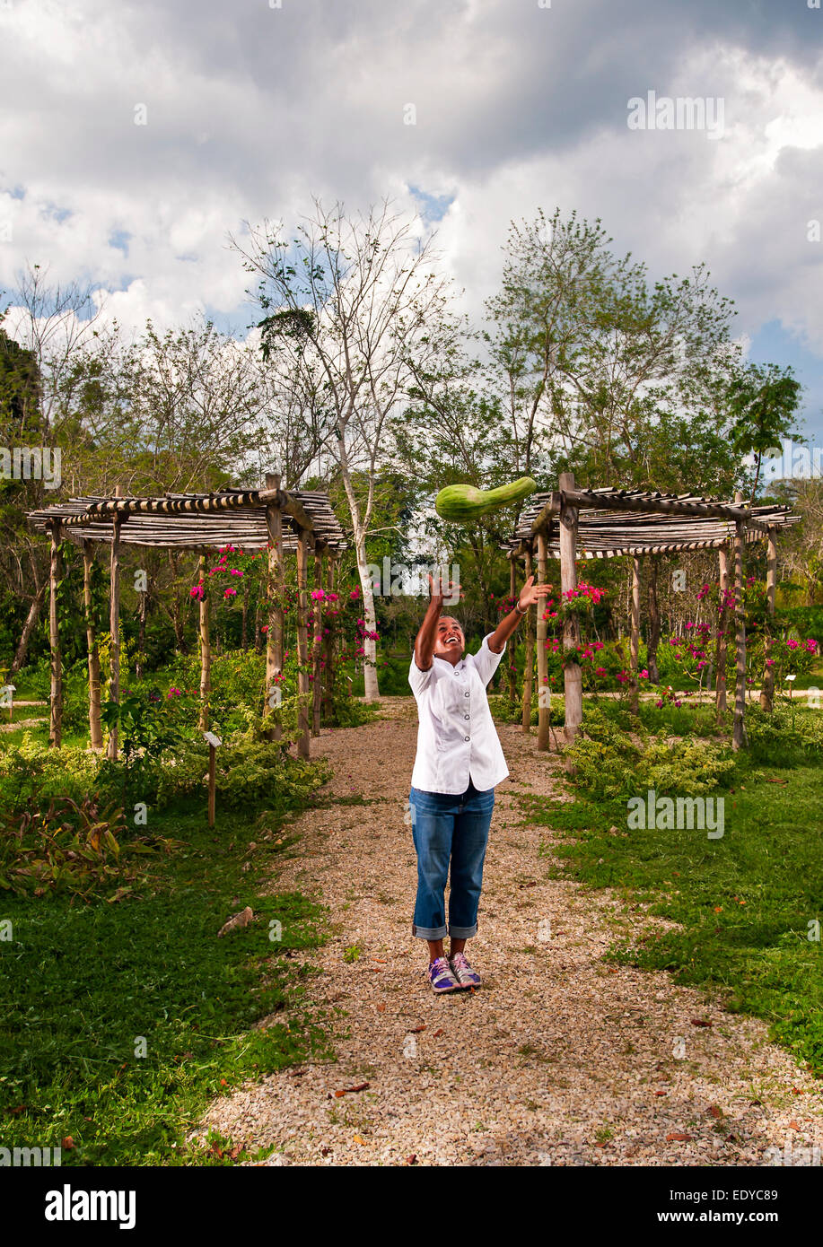 Copale Tree Lodge, il Belize Foto Stock