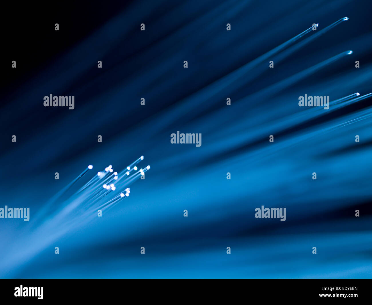 Fibre ottiche su sfondo sfocato Foto Stock