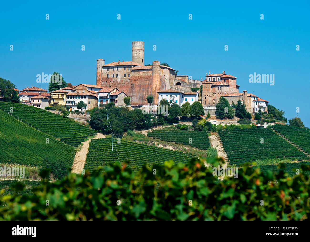 Il castello di Castiglione Falletto, vigneti, Castiglione Falletto, in provincia di Cuneo, Piemonte, Italia Foto Stock