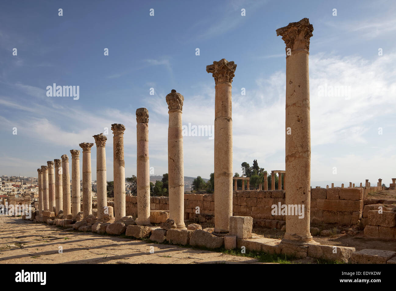 Strada principale Cardo Maximus, colonne, antica città romana di Jerash, parte della Decapoli, Jerash Jerash, Governatorato, Giordania Foto Stock
