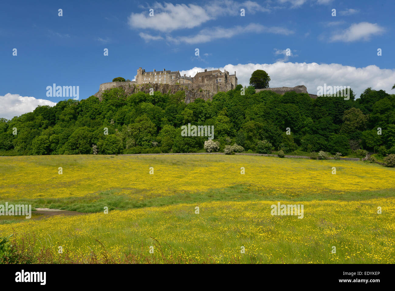Il Castello di Stirling, Stirling, Scozia, Regno Unito Foto Stock