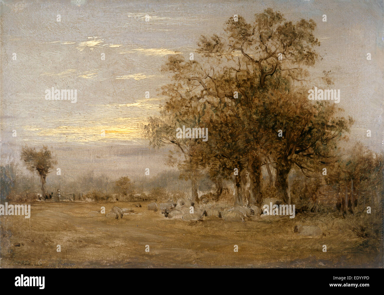 Pecore al pascolo datato in vernice gialla, in basso a sinistra: " Giugno 16 18 [...]', John Linnell, 1792-1882, inglese britannico Foto Stock