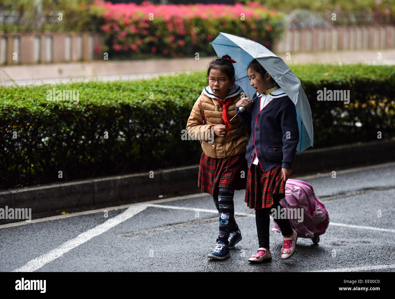 Shenzhen, Cina la provincia di Guangdong. Xii gen, 2015. I bambini a piedi sotto la pioggia a Shenzhen, Cina del sud della provincia di Guangdong, Gennaio 12, 2015. Aria fredda ha cominciato ad interessare la maggior parte delle regioni nel Guangdong da gen. 12, secondo il Guangdong stazione meteo. © Mao Siqian/Xinhua/Alamy Live News Foto Stock