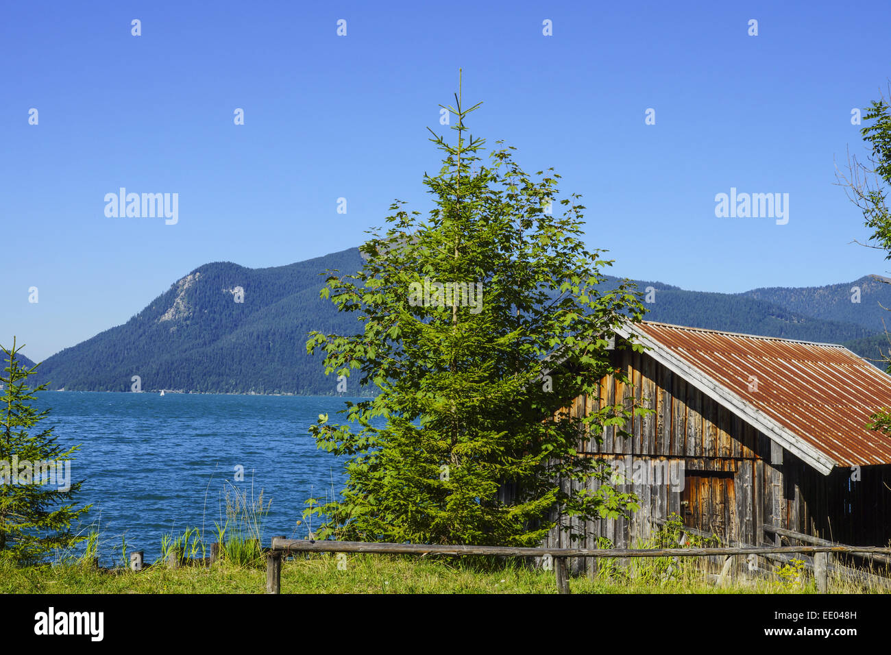 Blick auf den Walchensee, Tölzer Land, Isarwinkel, Bayern, Oberbayern, Deutschland, Vista Lago Walchensee, Baviera, Superiore Bava Foto Stock