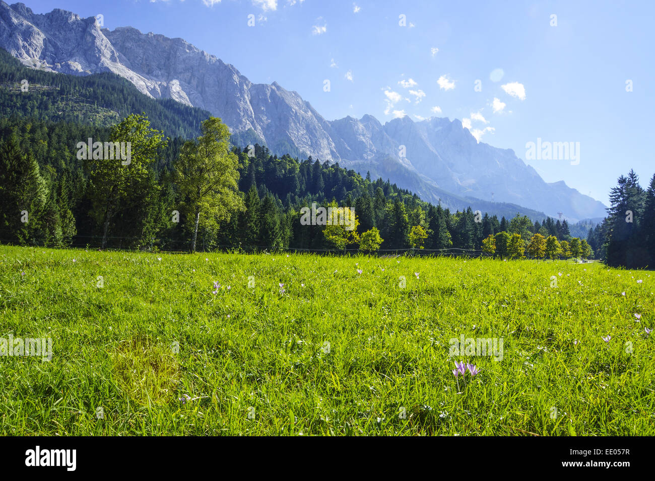 Blick auf die Zugspitze bei Grainau, Garmisch-Partenkirchen, Bayern, Oberbayern, Deutschland, vista del massiccio dello Zugspitze a Grainau, Foto Stock
