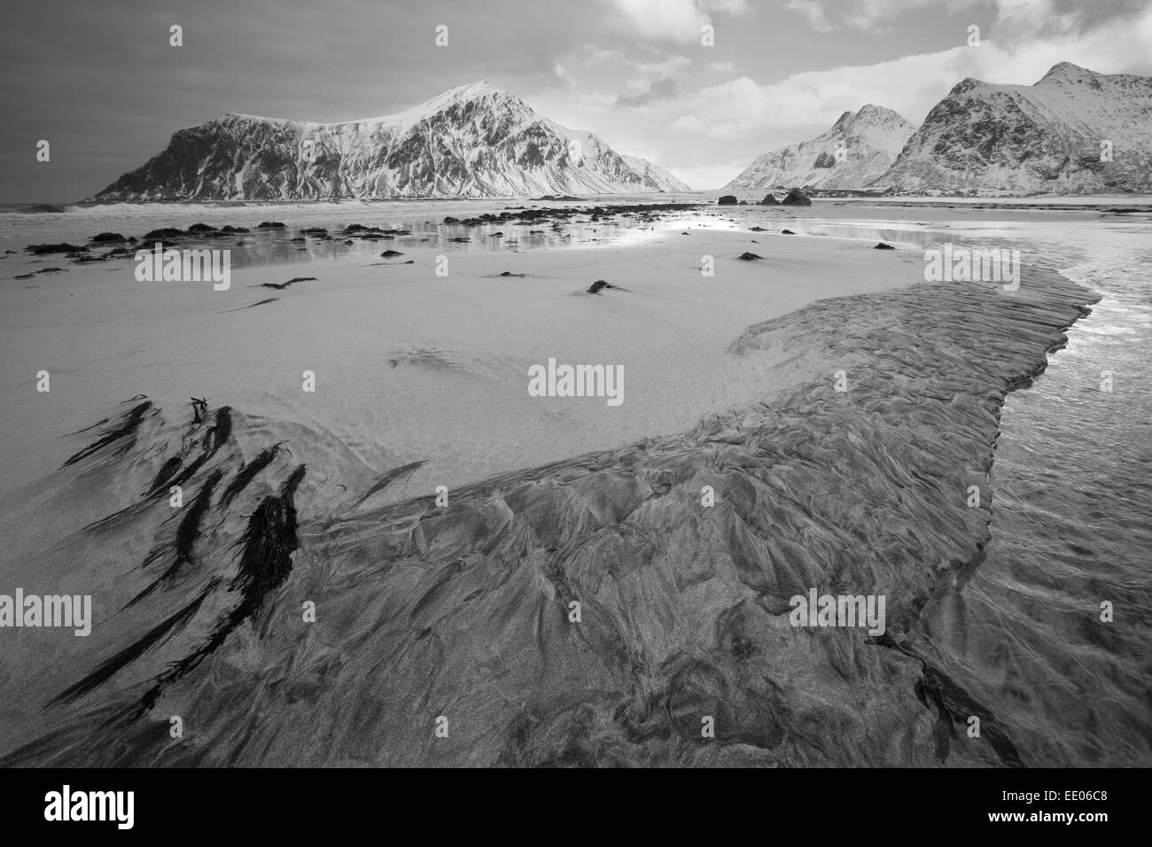 Spiaggia sabbiosa a Flakstad, Isole Lofoten, arctic Norvegia con alghe marine in primo piano, montagne innevate sullo sfondo. Monocromatico. Foto Stock