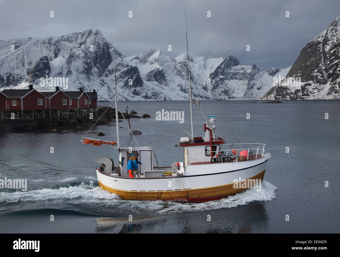 Barca da pesca di lasciare il porto di Reine nelle Isole Lofoten in Norvegia artica che mostra alcuni edifici e montagne innevate. Foto Stock