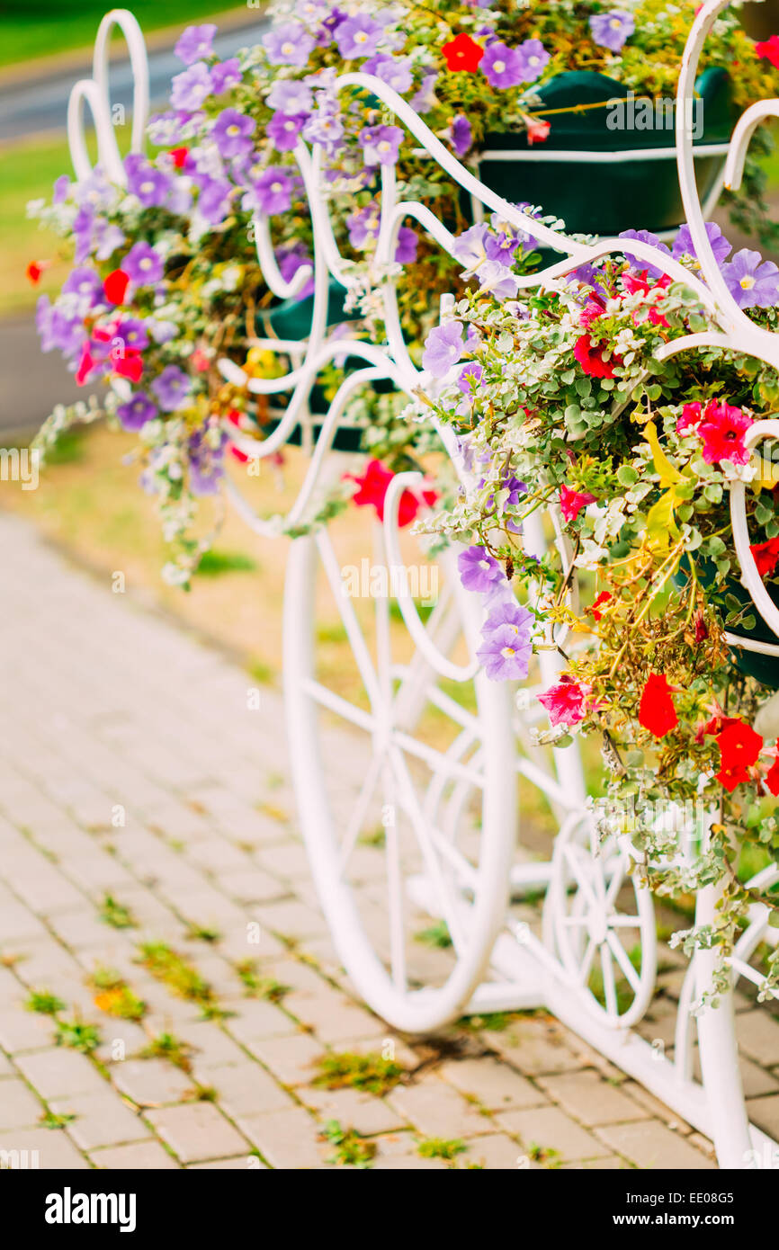 Decorativo modello Vintage della vecchia bicicletta dotata di paniere di fiori. Tonica foto. White Parcheggio bici con letto di fiori in Summ Foto Stock