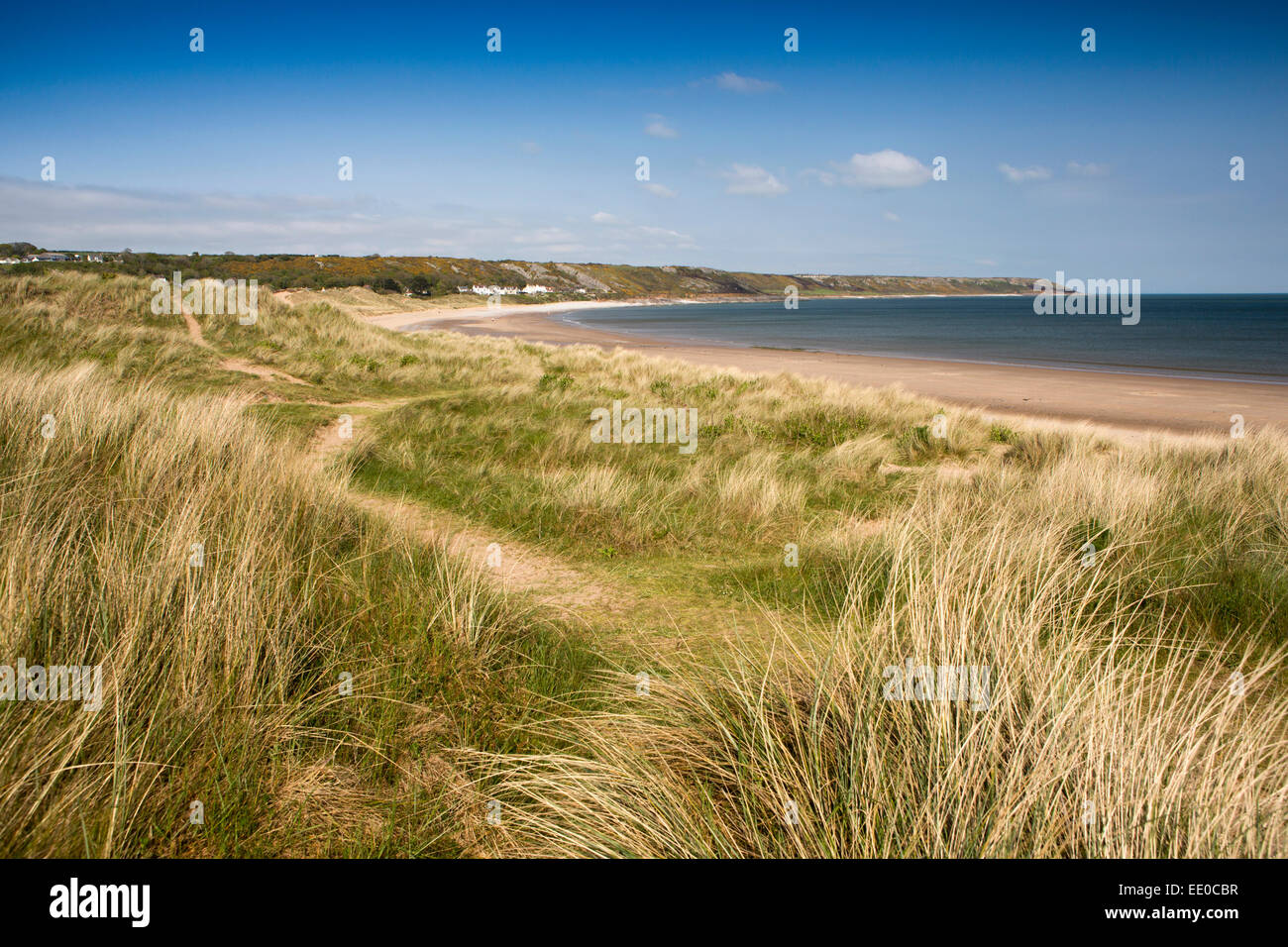 Regno Unito Galles, Swansea, Gower, visualizzare a Horton cross Port Eynon beach Foto Stock