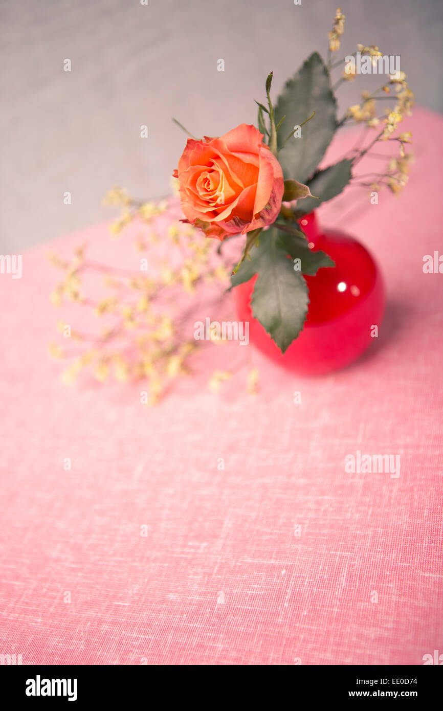 Immagine ravvicinata di una rosa in vaso Foto Stock