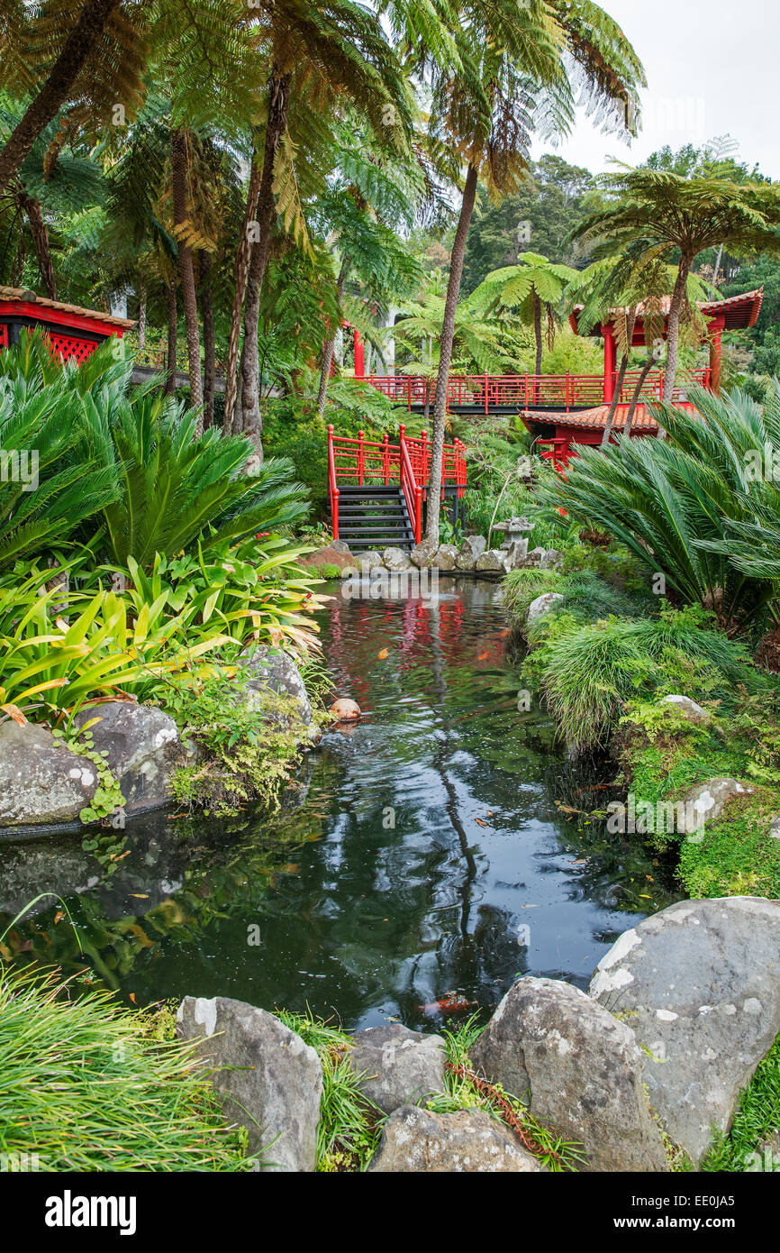 Monte Palace giardini tropicali, Funchal Foto Stock