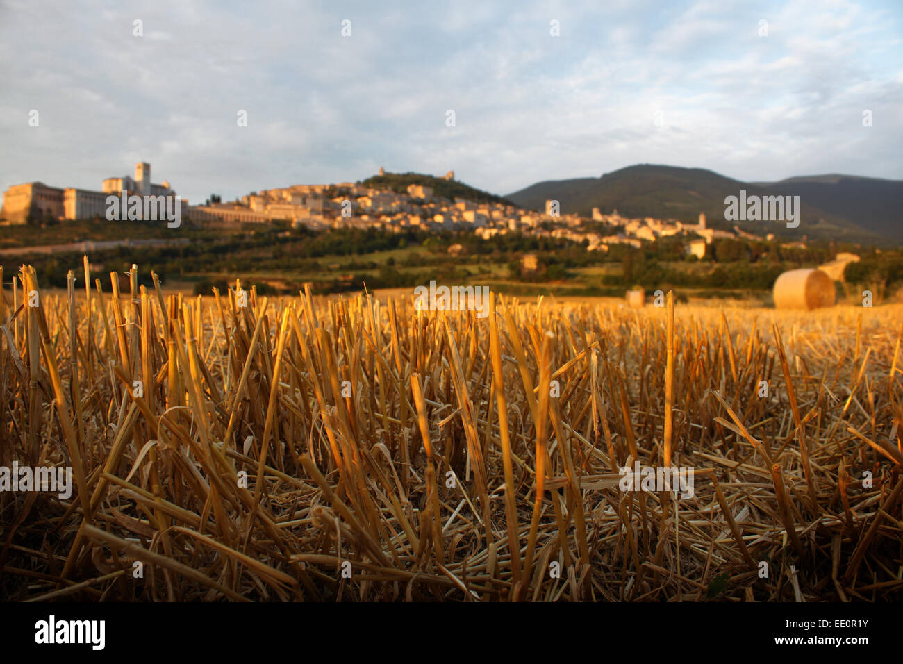 Vista ravvicinata di cannucce di fieno con il villaggio di Assisi in background. Foto Stock