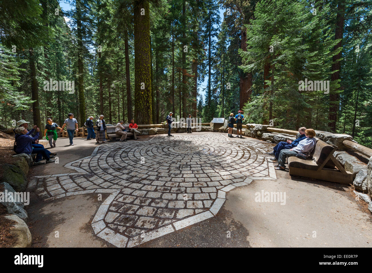 Pietre poste fuori per mostrare le dimensioni del footprint del General Sherman Tree, Sequoia National Park, California, Stati Uniti d'America Foto Stock