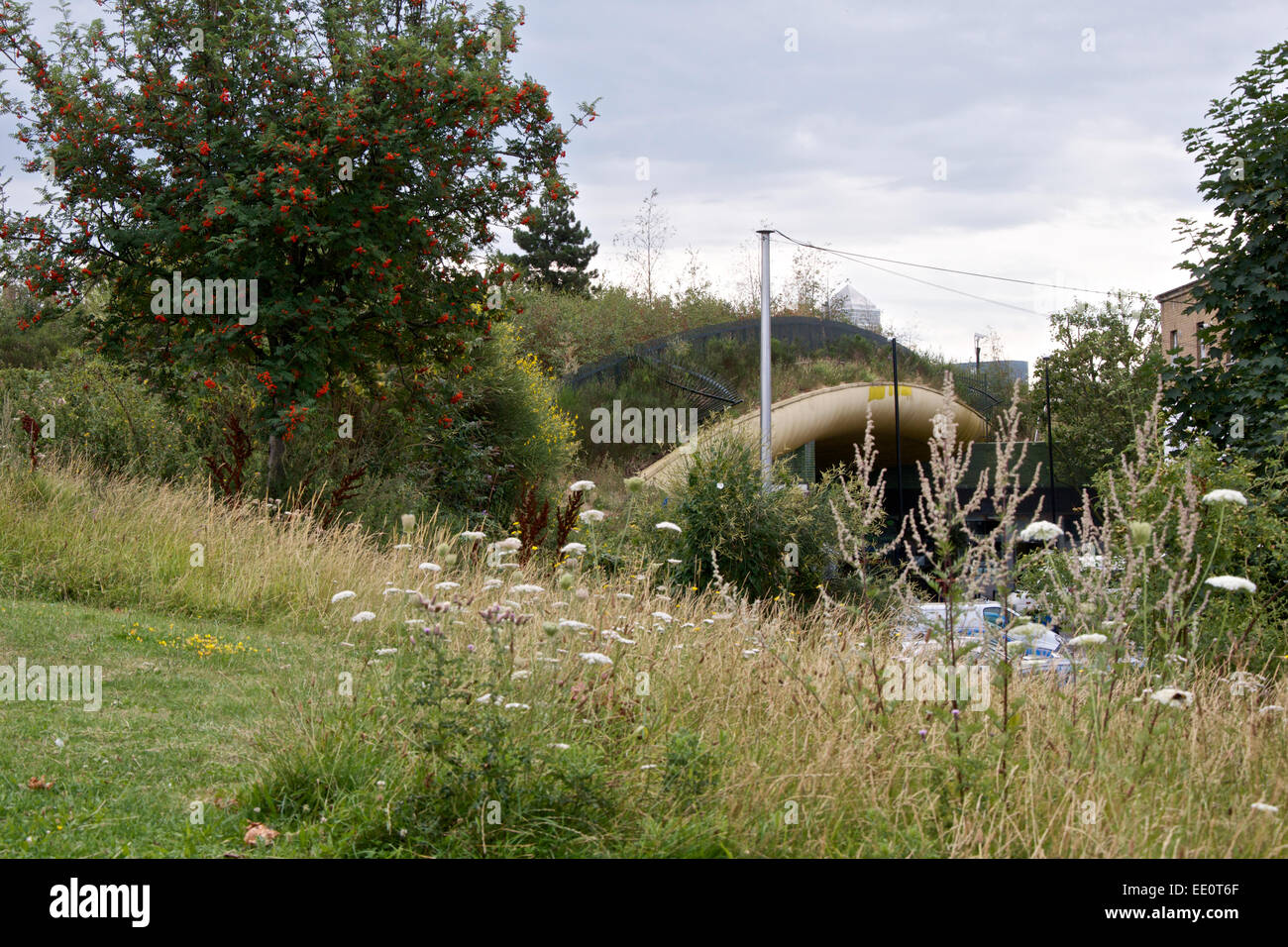 Il 'Verde' Ponte a Mile End, una passeggiata pedonale su occupato Mile End Road, Londra. Foto Stock