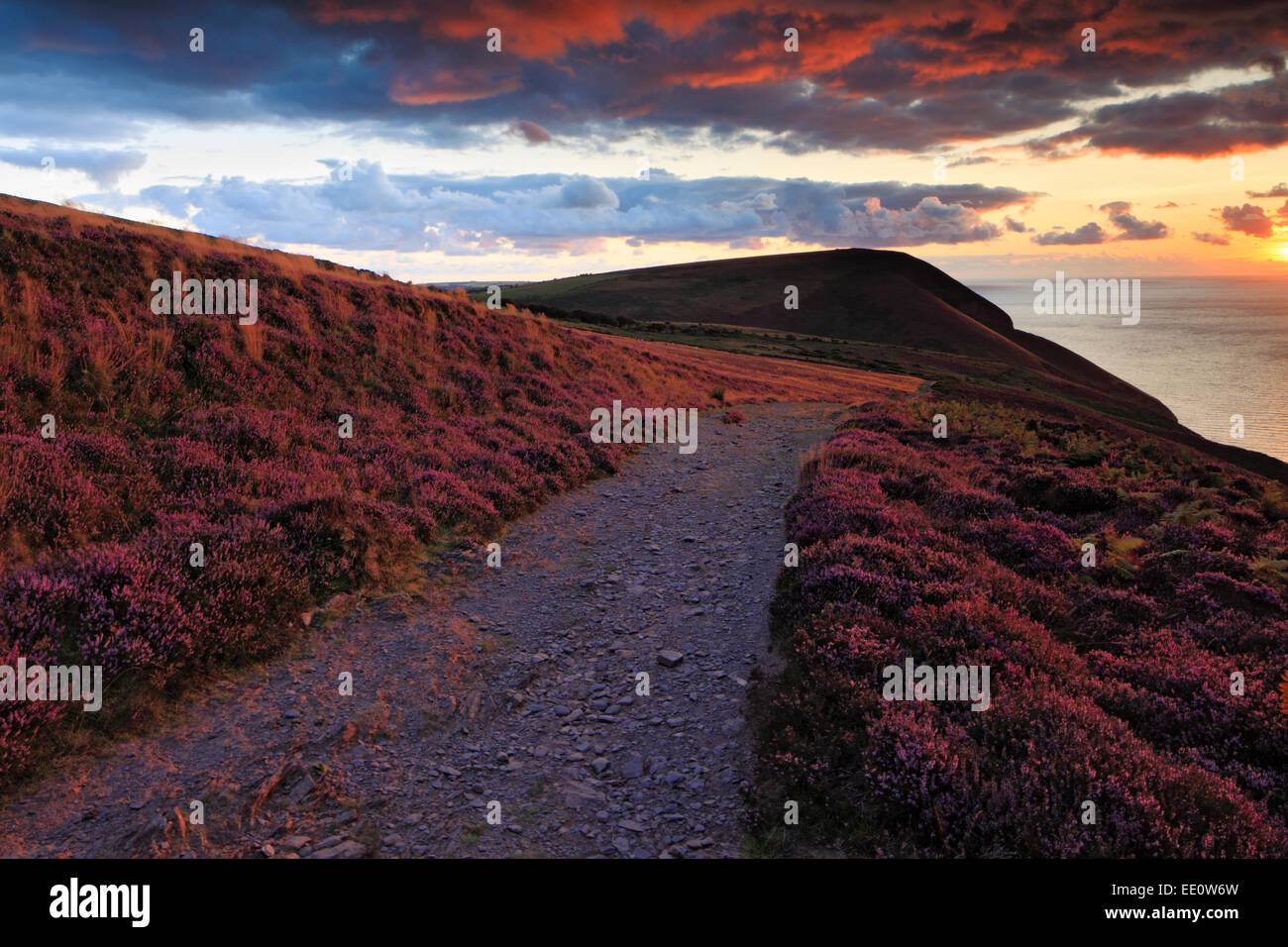 Il percorso costiero su Hodstone giù per Girt giù al tramonto, North Devon Foto Stock