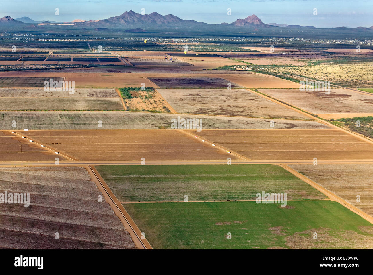 Antenna di agricoltura in Marana, Arizona Foto Stock