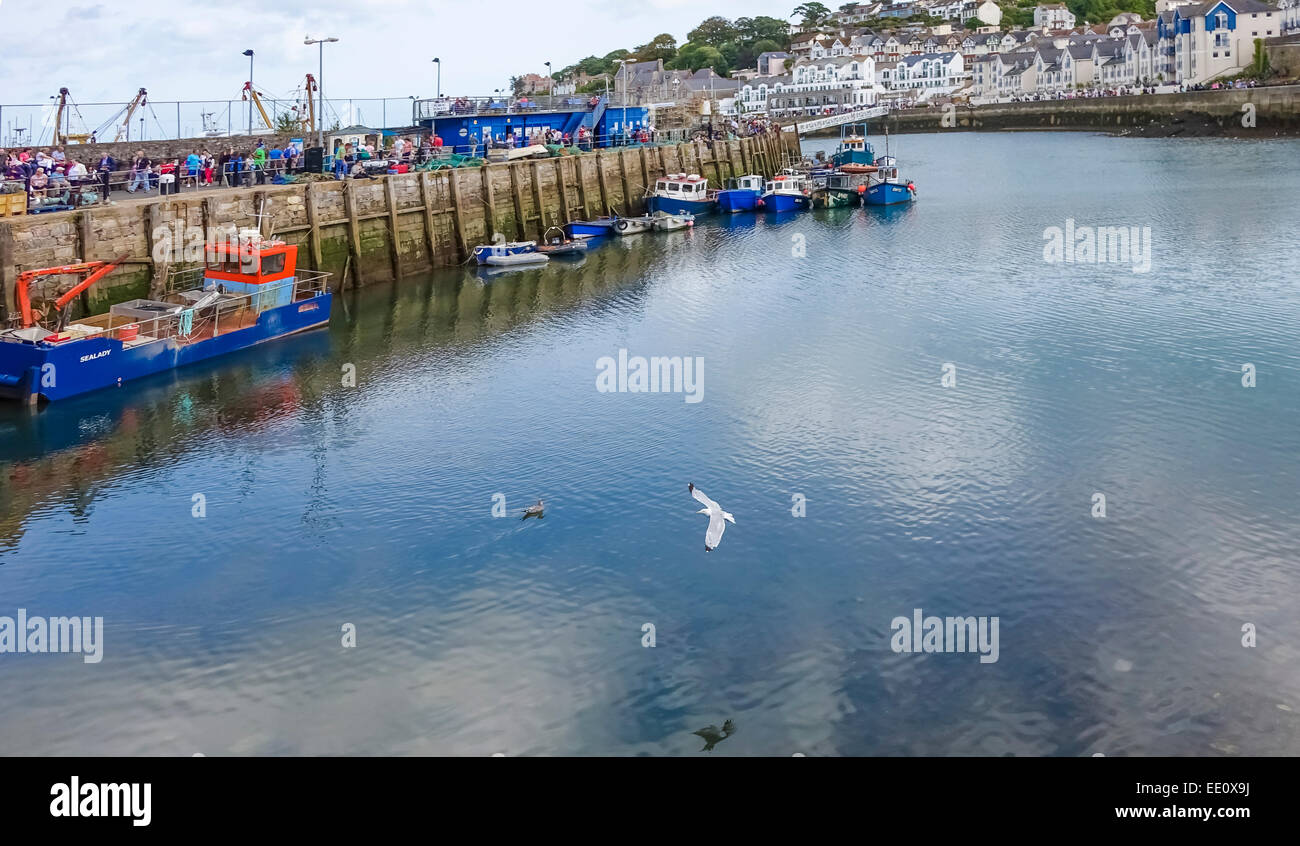 Seagull Volando sul porto di Porto di Brixham Devon England Regno Unito Foto Stock