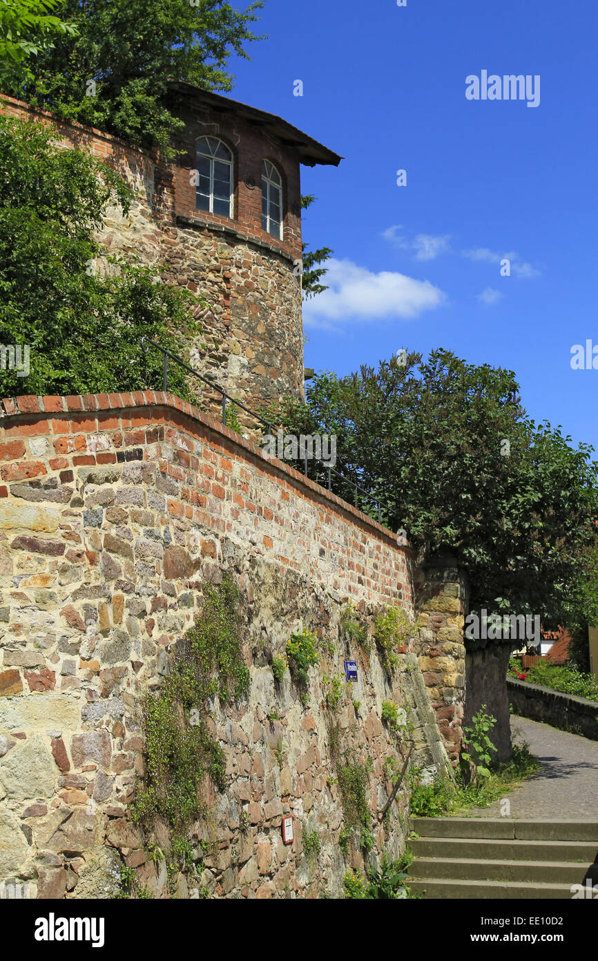 Deutschland, Sachsen, Meissen, Frauenstufen Foto Stock