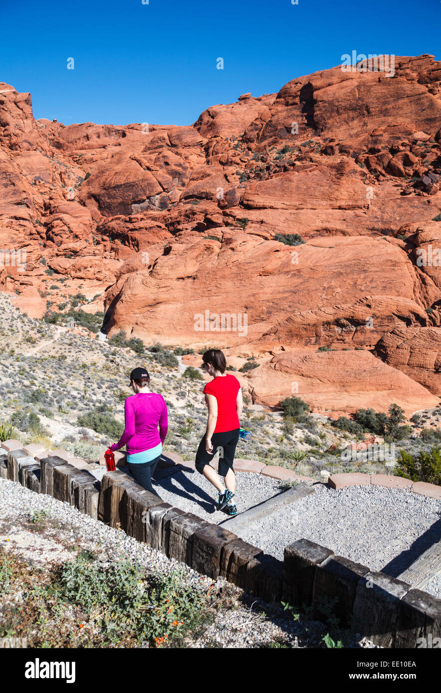 I visitatori possono esplorare il Red Rock Canyon National Conservation Area, circa 20 miglia dal Las Vegas Foto Stock