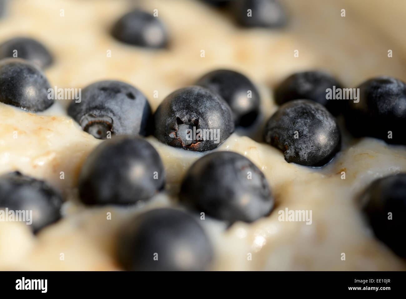 Un close-up la profondità di campo di una foto di plump mirtilli sulla parte superiore di una ciotola di porridge scozzese di avena o farina di avena. Foto Stock