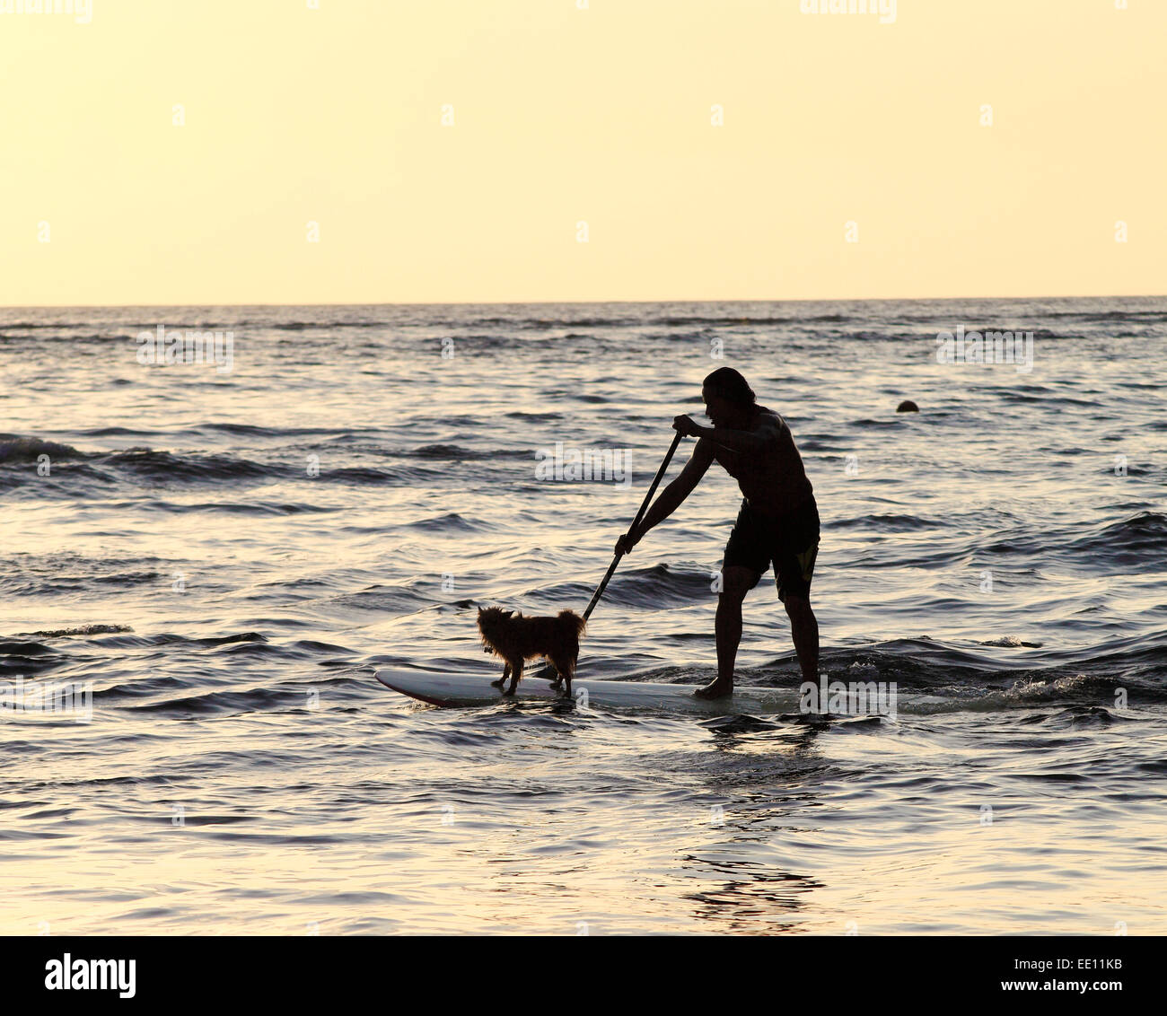 Kauai resident Keoni Durant e il suo cane nella Baia di Hanalei Foto Stock