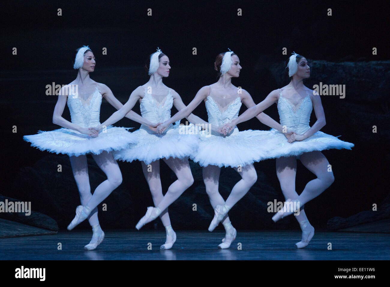 Cigni ballato da artisti della nazionale inglese di balletto. Ballerini  dell' English National Ballet eseguire la prova generale del balletto  classico Il lago dei cigni insieme alla musica di Pyotr Ilyitch Tchaikovsky.