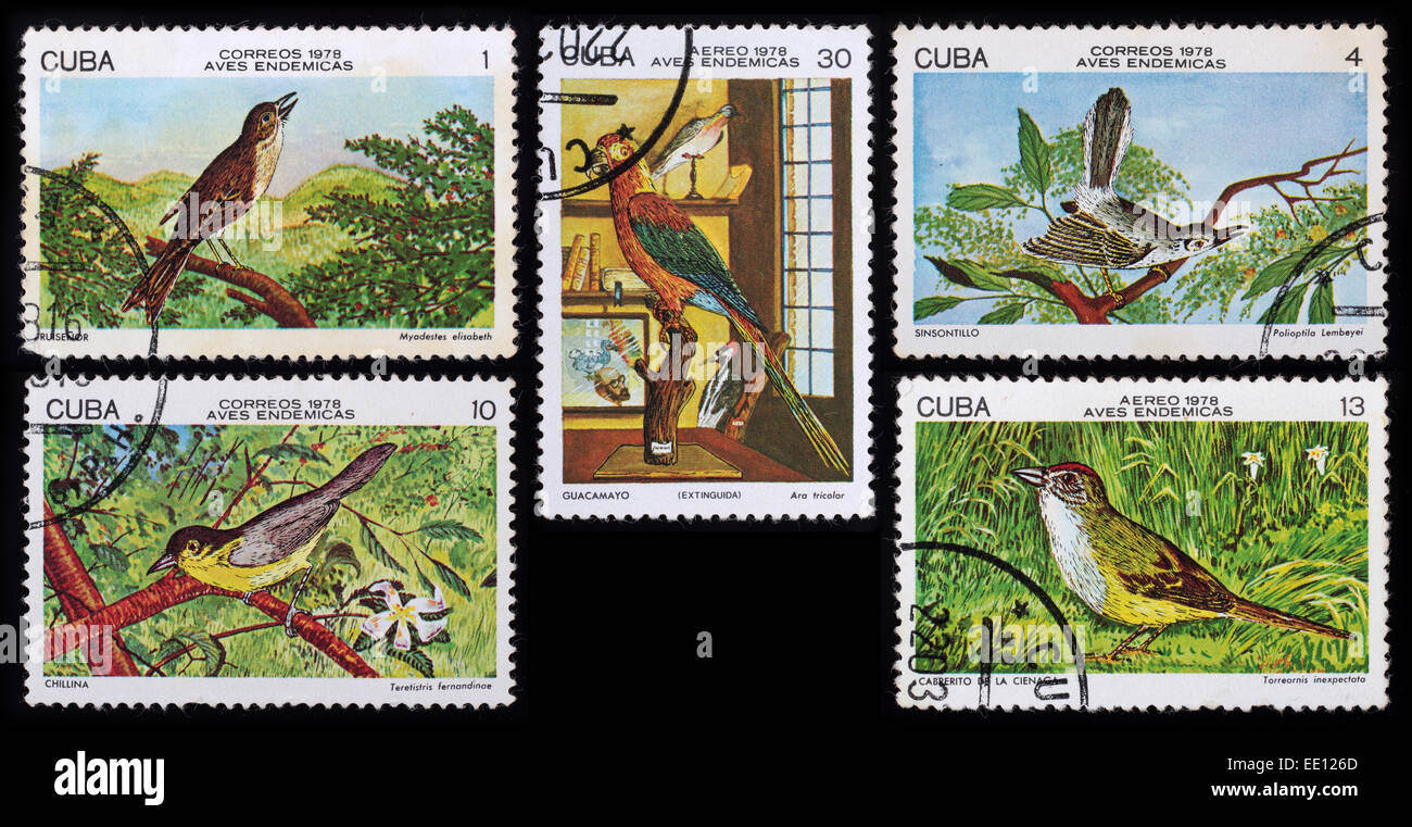 Cuba - circa 1978: un timbro postale stampato in Cuba mostra immagine di uccelli, uccelli serie, circa 1978. Foto Stock