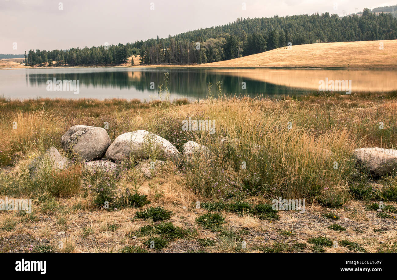 Piccolo lago riflettendo la foresta e la golden hills di fine estate in Canada Foto Stock