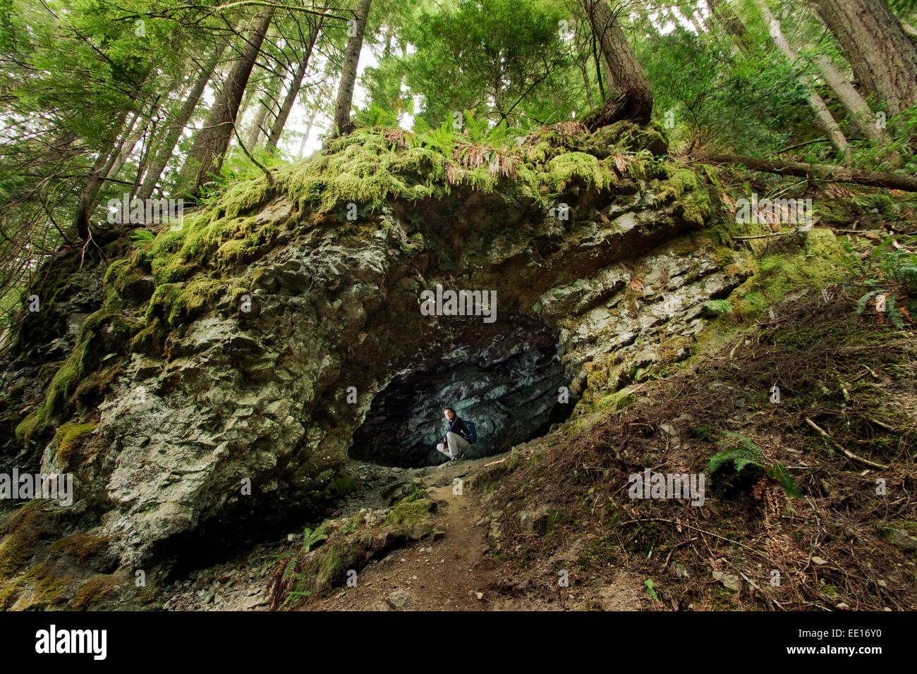 Uomo in una grotta poco profonda su una capra Creek Trail vicino Morton, North Cascades, Washington Foto Stock