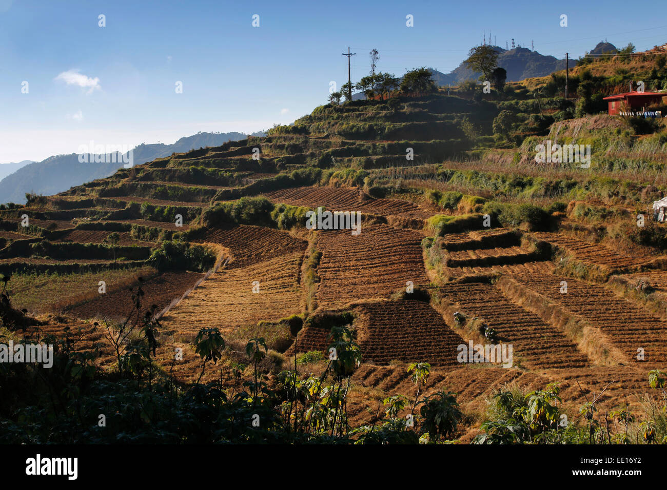 Terrazze di campo pronto per la semina di verdure sul versante di una montagna di Baguio City, Filippine Foto Stock