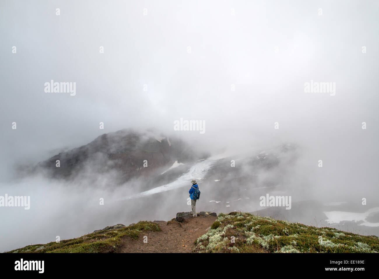 Un escursionista che si affaccia scomparendo Nisqually glacier in Mount Rainier National Park, WA, Stati Uniti d'America Foto Stock