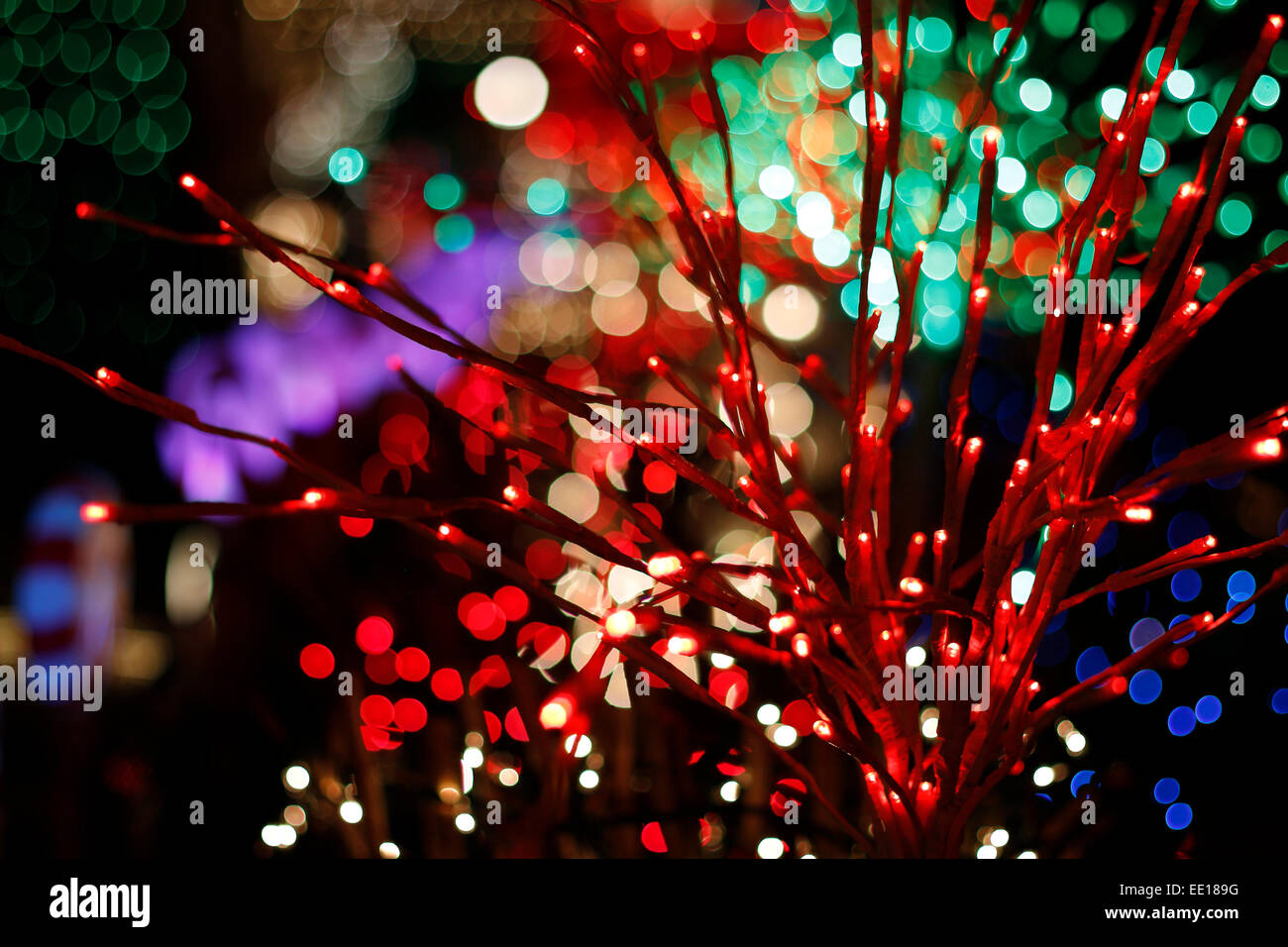 Holiday decorativo rami di albero avvolto con luci colorate bokeh di fondo Foto Stock