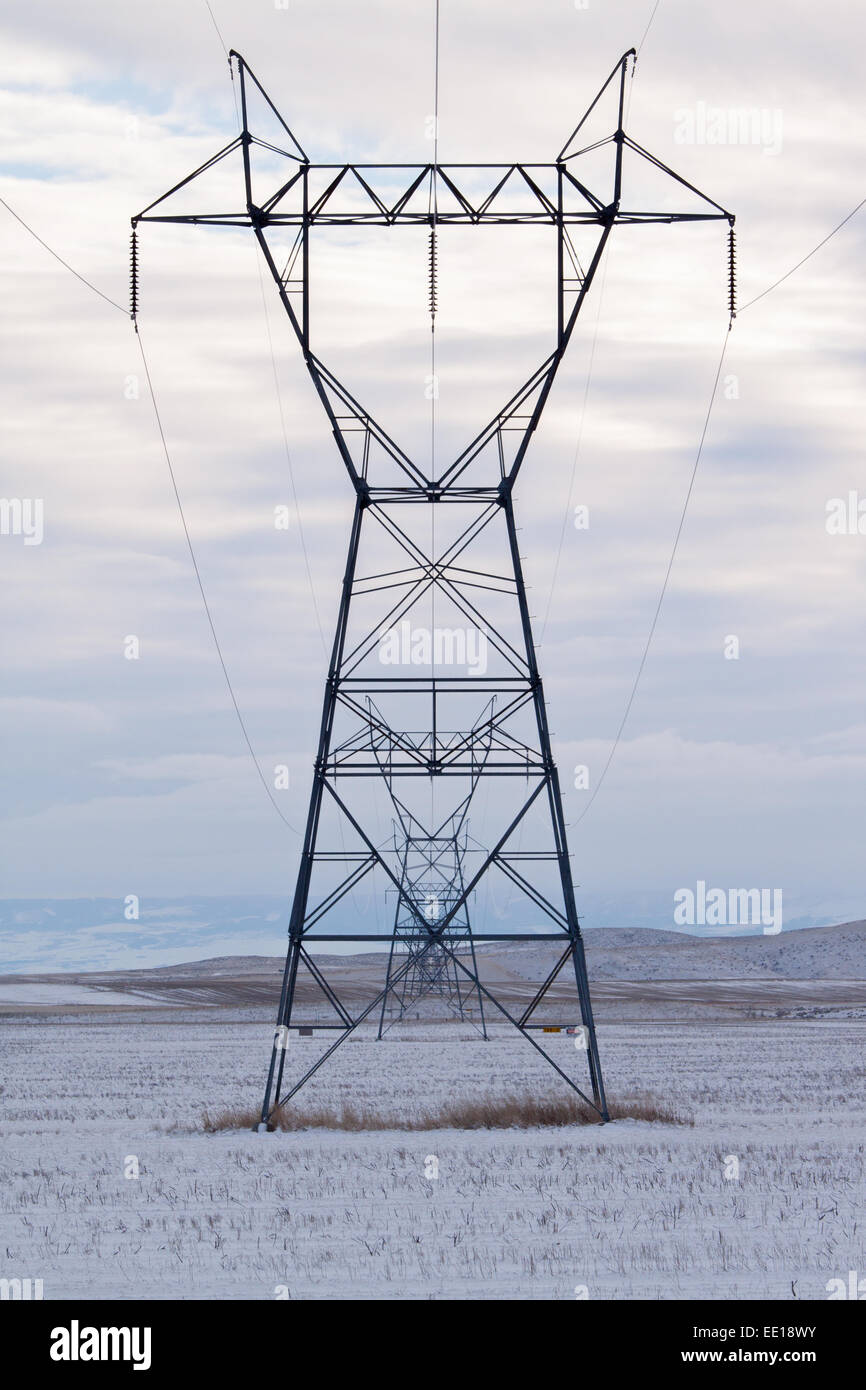 La linea del tettuccio di linee elettriche ad alta tensione in un campo nevoso Foto Stock
