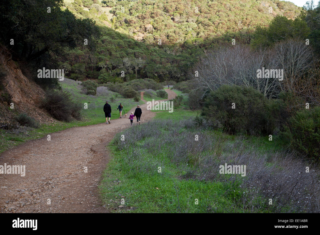 Famiglia escursioni su un sentiero in Novato, CALIFORNIA, STATI UNITI D'AMERICA Foto Stock
