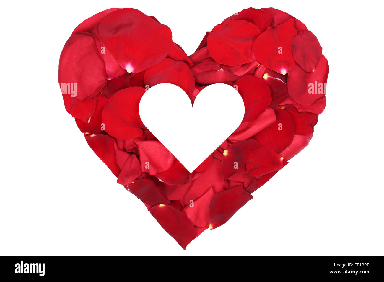 Cuore dai petali di rose fiore amore argomento di San Valentino e la festa della mamma isolato con copyspace Foto Stock