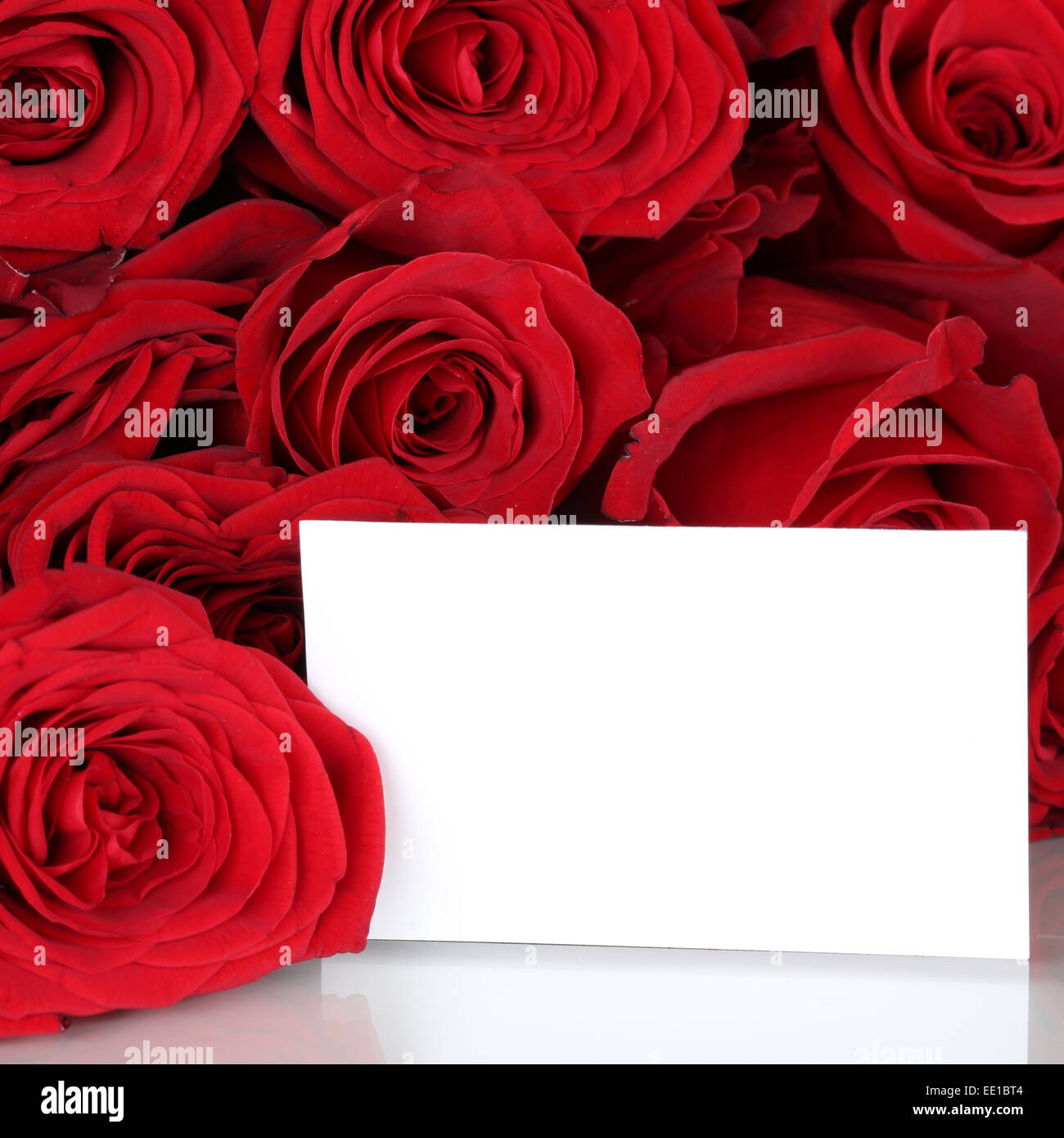 Rose rosse di San Valentino o la festa della mamma con copyspace per il proprio testo Foto Stock