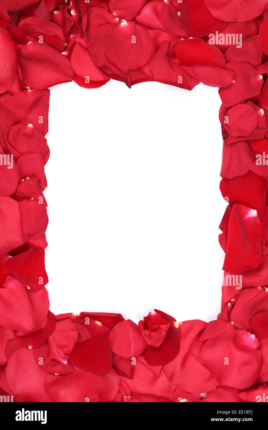 Telaio di petali di rose di san Valentino e la festa della mamma con copyspace Foto Stock