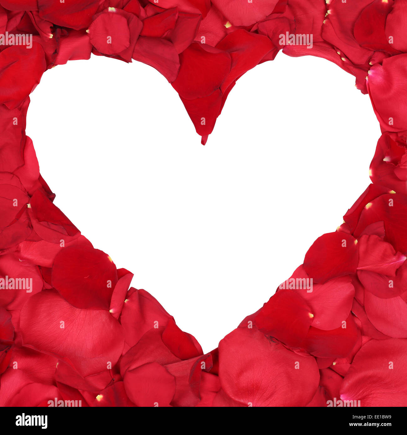 Petali di Rose formando cuore amore argomento per il matrimonio di San Valentino e la festa della mamma isolato Foto Stock