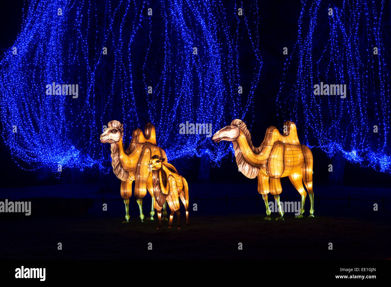 Camel lanterne a Longleat, Warminster, Wiltshire. Inghilterra Foto Stock