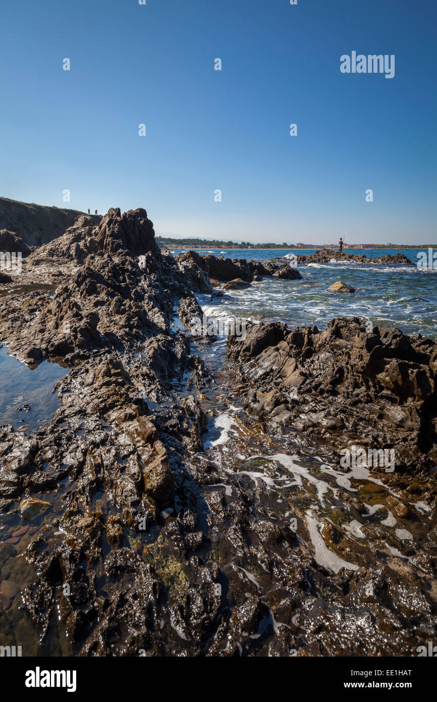 Spiaggia rocciosa con la bassa marea, Argelles, Francia, Europa Foto Stock