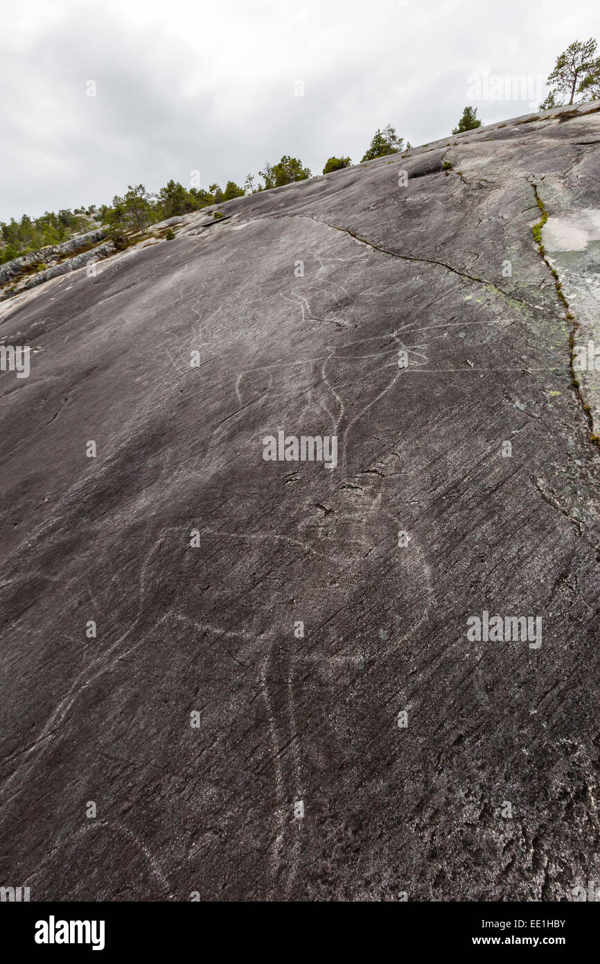 Roccia Leiknes dipinti raffiguranti cervi, disegnato da gli antenati dei Saami forse 9000 anni fa, Leiknes, Troms, Norvegia Foto Stock