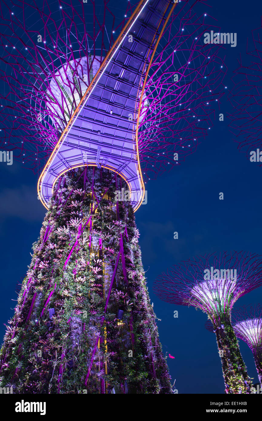 Giardini dalla baia di notte, Singapore, Sud-est asiatico, in Asia Foto Stock