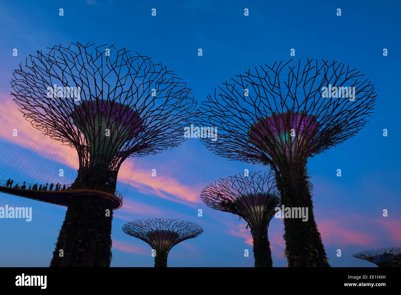 Giardini dalla baia di notte, Singapore, Sud-est asiatico, in Asia Foto Stock